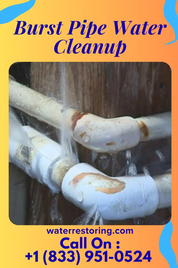 Burst Pipe Water Cleanup in Raub, IN