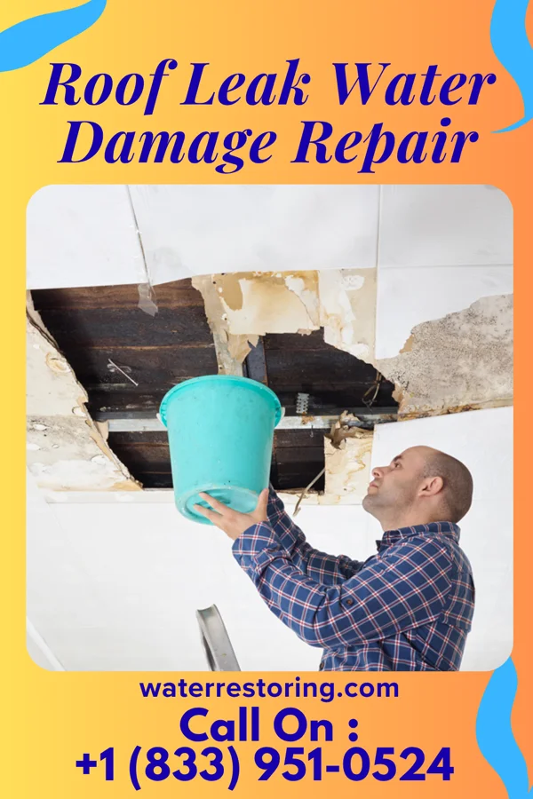 Roof Leak Water Damage Repair in Raub, IN