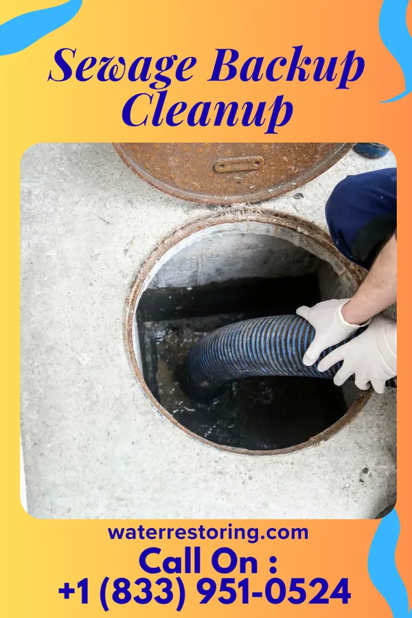 Sewage Backup Cleanup in Raub, IN